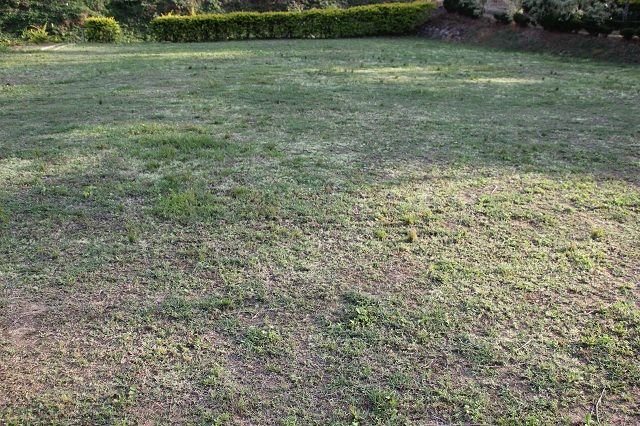 Kids Play Ground